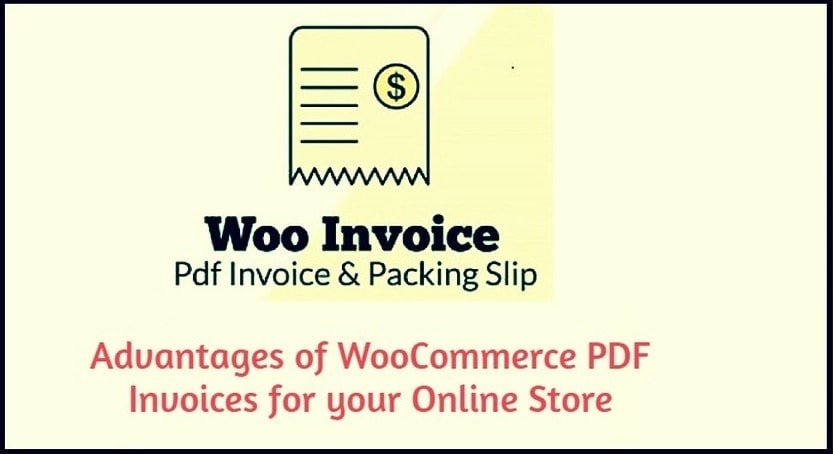 invoice plugin advantage