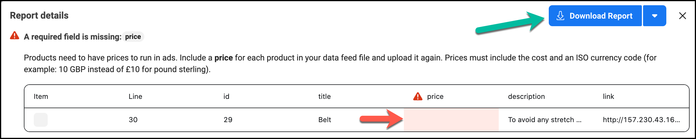 Feed upload report details - Facebook WooCommerce Plugin