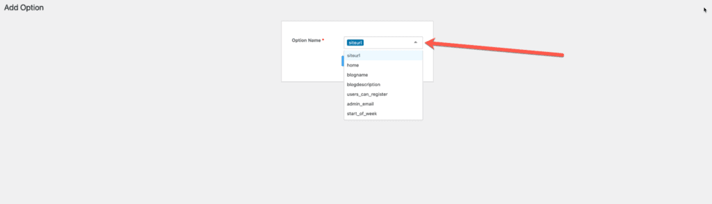 WordPress Options into Feed