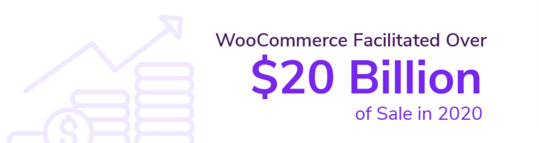 WooCommerce Net Sales - WooCommerce Revenue