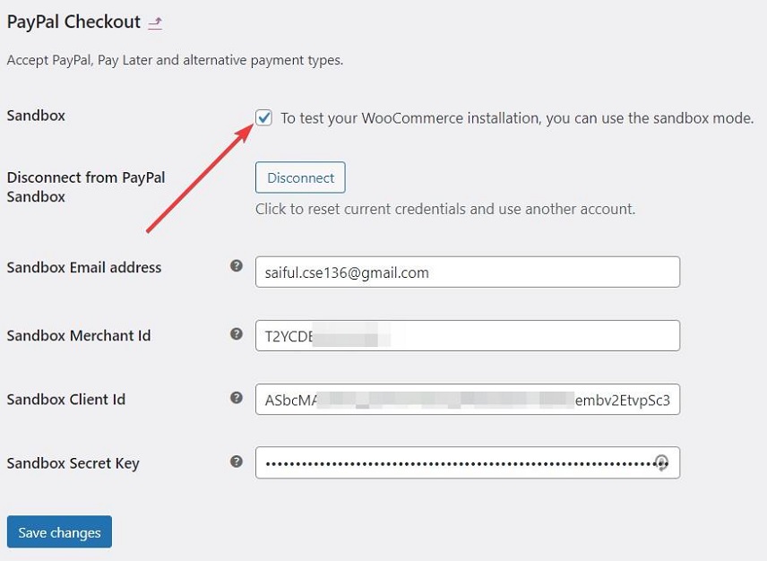 PayPal sandbox settings