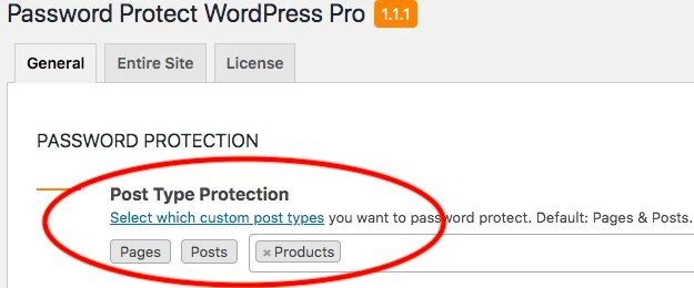password-protect-custom-post-type