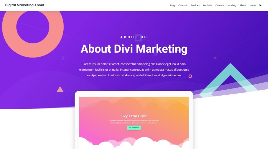 Divi Theme