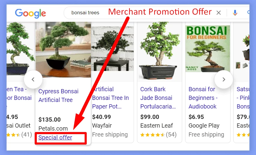 Merchant promotion offer on Google SERP