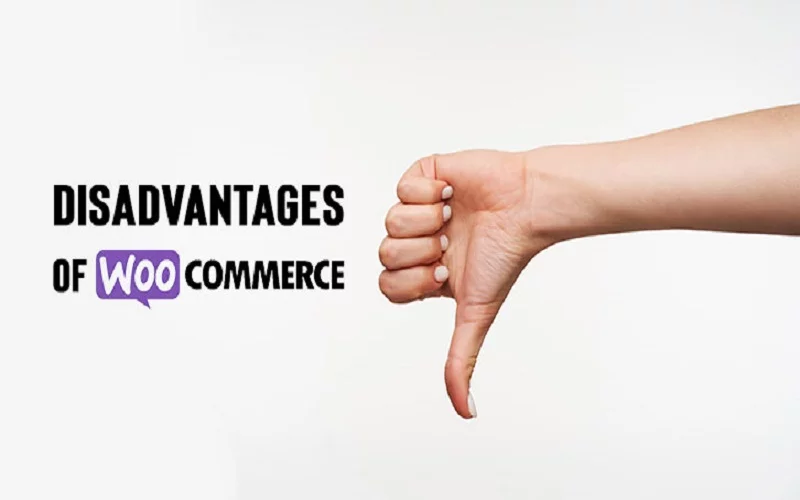 Disadvantages of Using WooCommerce