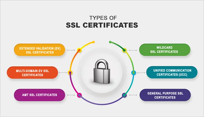 WooCommerce SEO Optimization in 2026: The Ultimate Checklist for Beginners Types of SSL Certificate